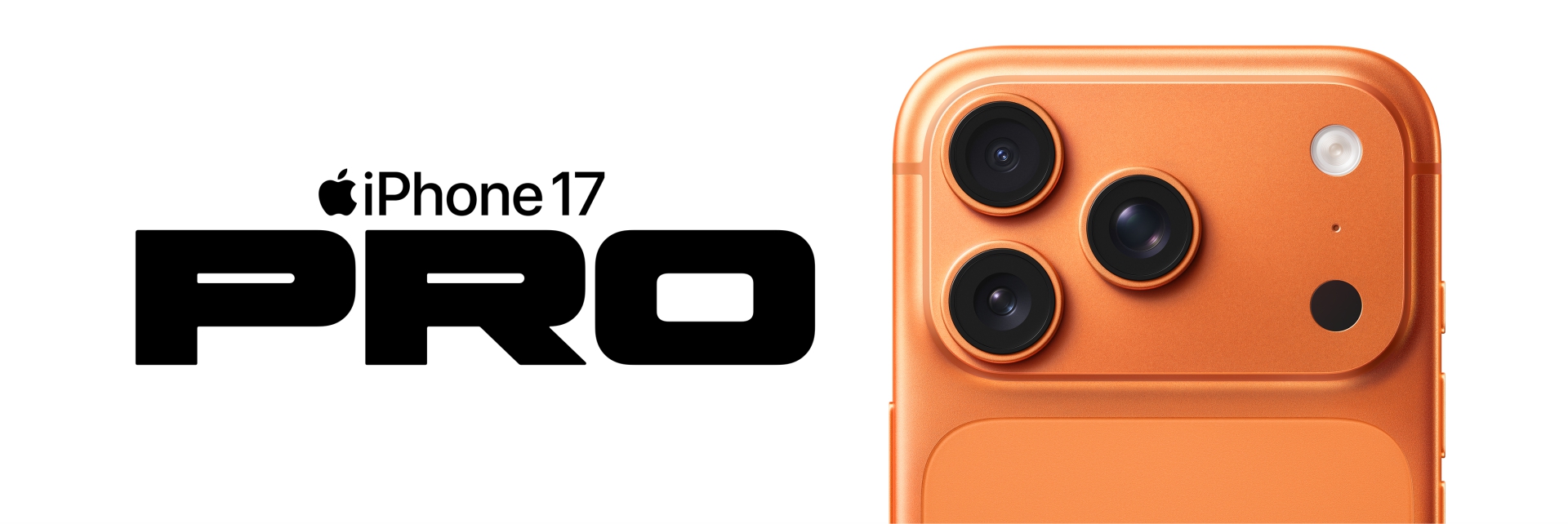 Banner image 4